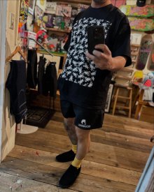 他の写真2: 【 Skull Skates 】HARDCORE LOGO NYLON SHORTS / BLACK
