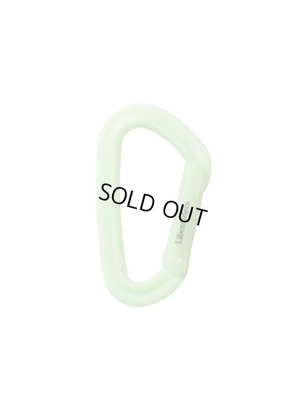 画像1: 【 Liberaiders 】PX LUMINOUS CARABINER