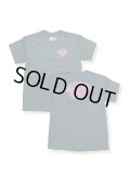 【 Powell Peralta 】Winged Rippr T-Shirts / Blacklight Pink