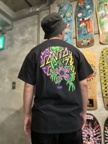 他の写真2: 【 Santa Cruz Skateboards 】SANTA CRUZ x STRANGER THINGS / DEMOGORGON TEE